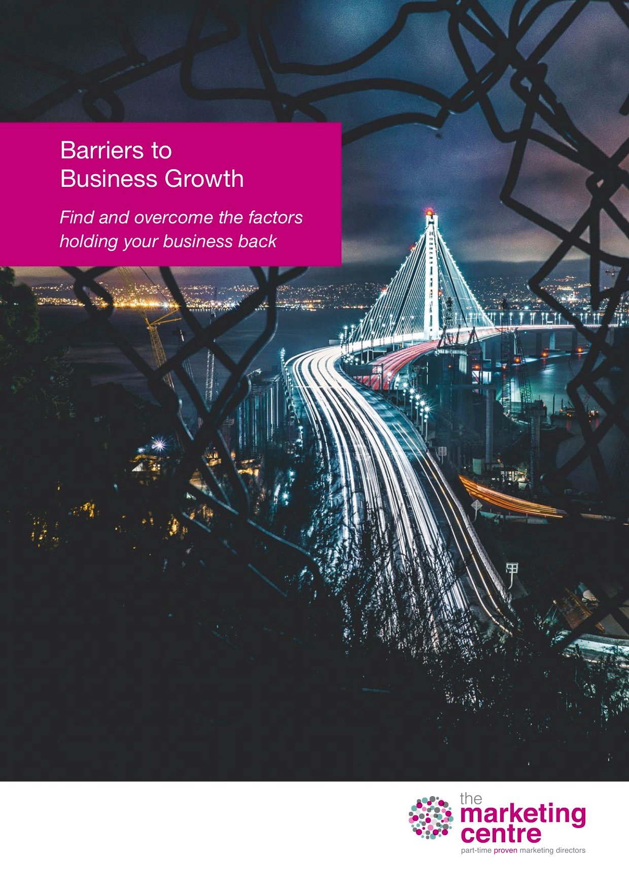 Barriers to Business Growth Cover